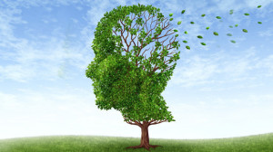 The #1 Way to Prevent Alzheimer's Disease