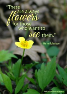 Flower Quote :: There are always flowers for those who want to see ...