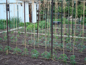 Funny Quotes Contact Dmca...