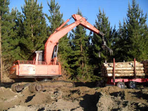 Our machines can log anywhere. We also provide services to cut tracks ...