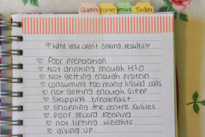 My Health And Fitness Journal Set-up 2014