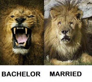 Bachelor… Married ….:D