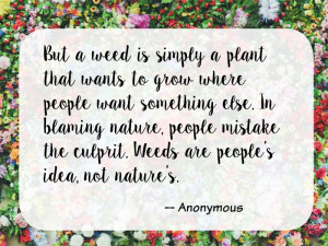 Gardening Quotes that Will Make You Want to Dig In