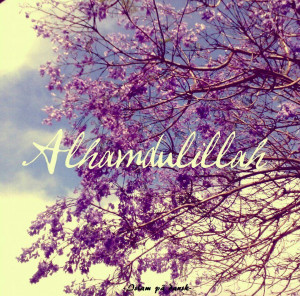 alhamdulillah-in-english-on-tree-photo.jpg