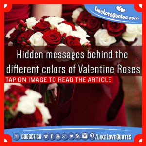 Hidden messages behind the different colors of Valentine Roses