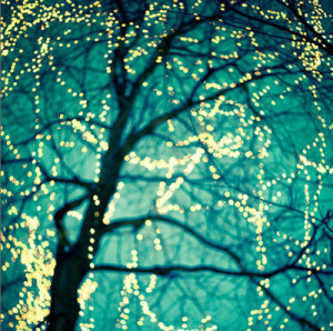 christmas, night, tea lights, trees, twinkling lights