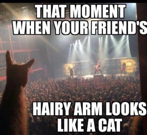 Cat in Rock Concert