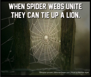 ... Do It Alone: When spider webs unite, they can tie up a lion quote