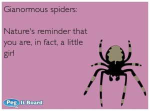 Humor ecard: Gianormous spiders: Nature\'s reminder that you are, in ...