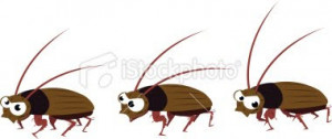 Funny Cockroach Pictures Images Quotes Picture