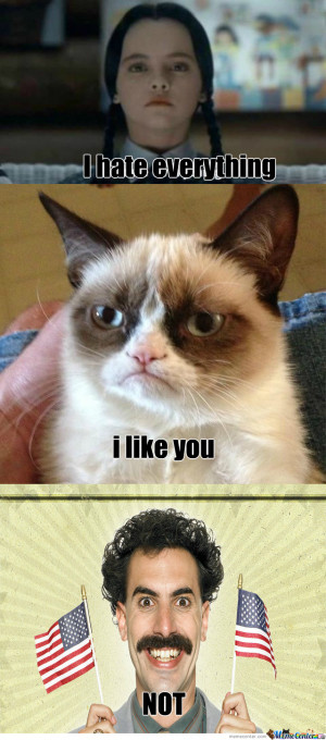 RMX] Wednesday Addams Meets Grumpy Cat