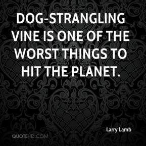 Larry Lamb - Dog-strangling vine is one of the worst things to hit the ...