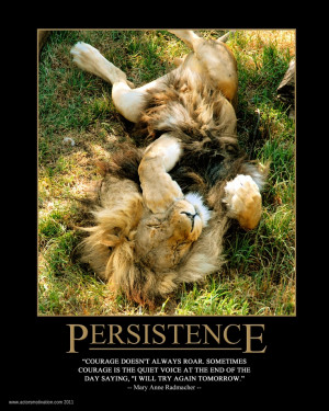 PERSISTENCE - Mary Ann Radmacher