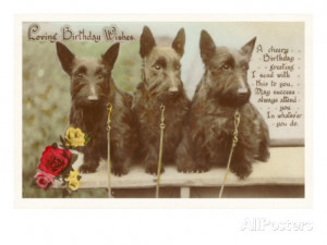 Happy Birthday Goofy Goobsie