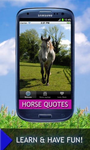 Horse Quotes And Sayings - screenshot