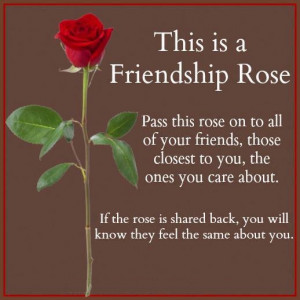 This is Friendship Rose...