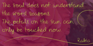 ... for this image include: beautiful, cute, quote, swet and cursive text