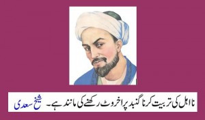 Sheikh Saadi Quotes in Urdu – Teaching an incompetent person is like ...