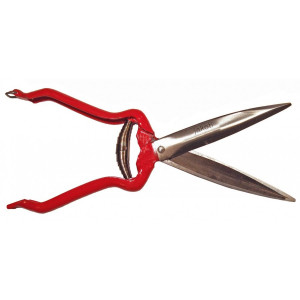 Hand Shears