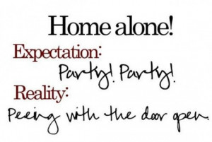 expectation vs reality - home alone