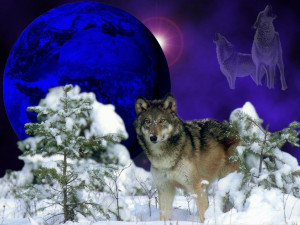 Wolves Winter Wolf