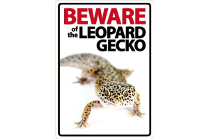 Beware of The Leopard Gecko Sign
