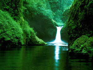 If you would like to listen to the relaxing sounds of nature whilst ...