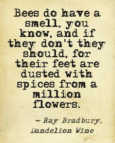 Ray Bradbury, Dandelion Wine More