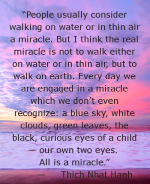 Thich Nhat Hanh - People I admire!