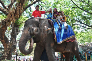 Crowded People Pictures