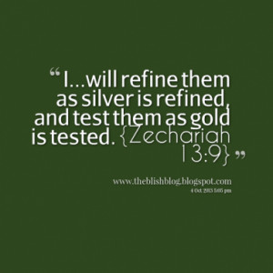 will refine them as silver is refined, and test them as gold is ...