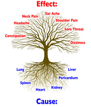 Family Tree Branches And Roots