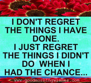 Regret Quotes : I don’t regret the things I’ve done, I just regret ...