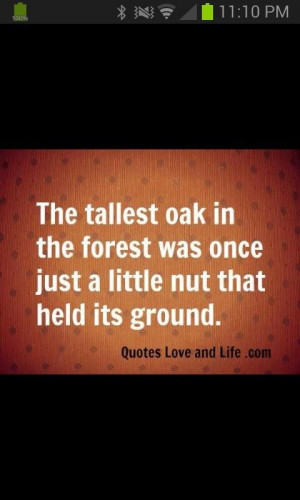 Pinned by AssistantNikki