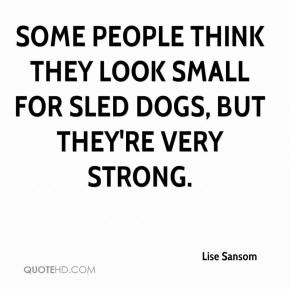 ... people think they look small for sled dogs, but they're very strong