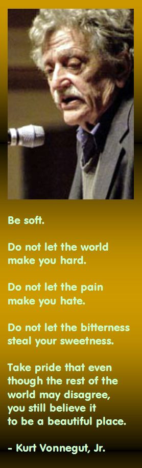 be soft do not let the world make you hard