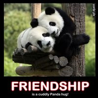 panda quotes photo: Friendship friendship_panda.jpg
