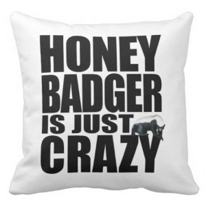 see more honey badger pillows here honey badger pillows
