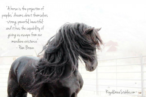 Horse Quotes Inspirational