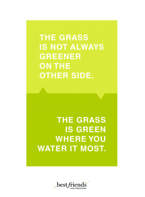 We’ve all heard that “the grass is always greener on the other ...