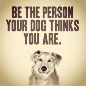 10 inspirational quotes about dogs
