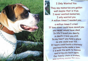 Poems For Grieving Pet Owner