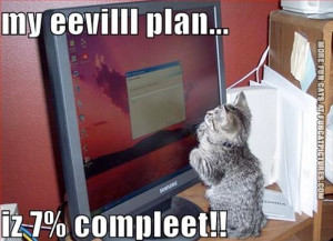 ... evil cats evil anime boy anime with cats evil cat anime evil boy