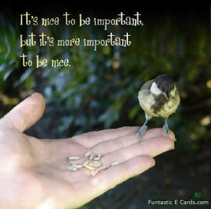 card with beautiful image and bird in the hand quote