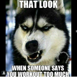 Gym humor.....gym rat problems Find more like this at gympins.com