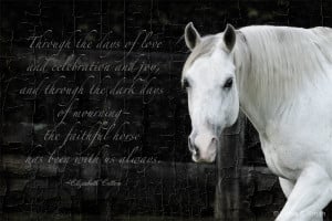 Horse Quotes About Love (7)