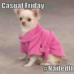 Casual Friday? #NailedIt ... #Chihuahua #Friday #Funny #Dogs