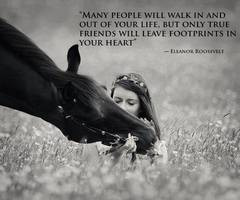 Horse Quotes About Friendship (13)