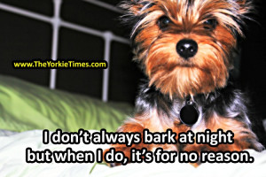 Funny Yorkie Pictures With Quotes Yorkies love to bark