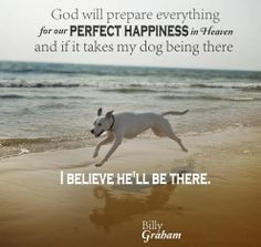 Billy Graham Quotes on Dogs. Billy Graham Quotes on Heaven. More